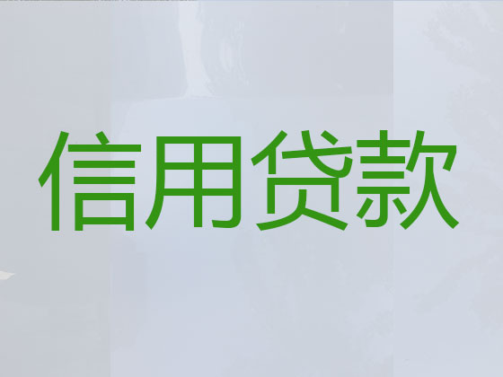 滨州本地贷款公司
